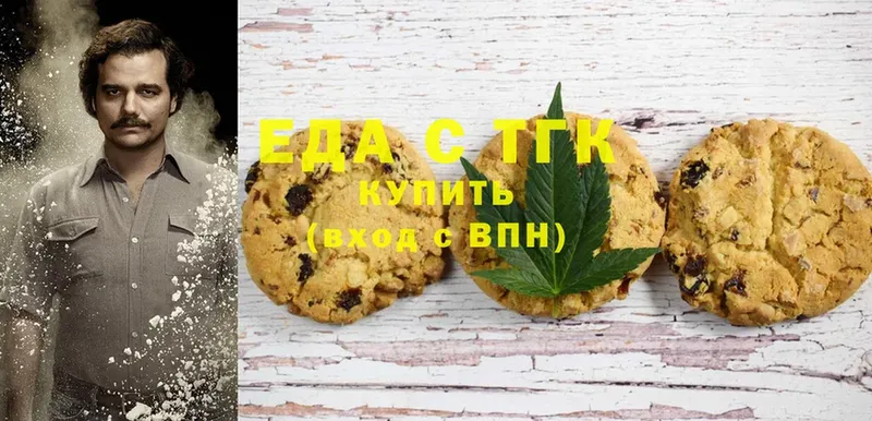 продажа наркотиков  Скопин  Canna-Cookies конопля 