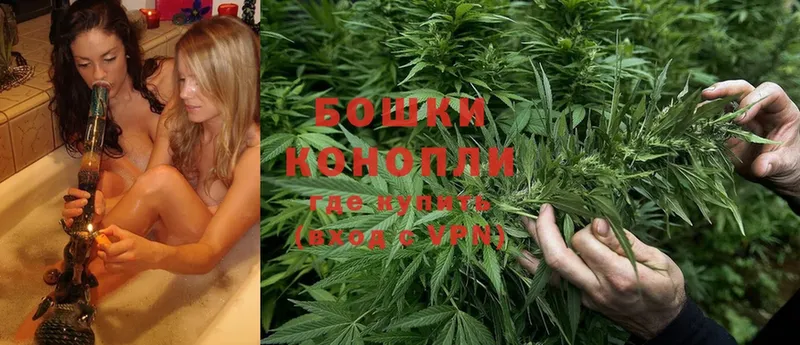 купить закладку  Скопин  Каннабис White Widow 